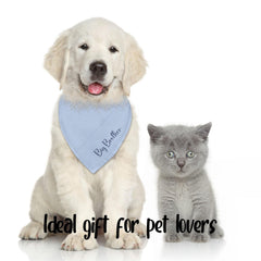 Bandana chien bleu Fipsieneml, accessoire photo pour révélation douce et joyeuse.