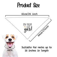 Bandana chien photo-prop Fipsieneml, apporte une touche ludique