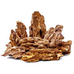 FISCAPE Pierre Dragon naturelle, rocher d'aquarium robuste pour structurer un décor naturel