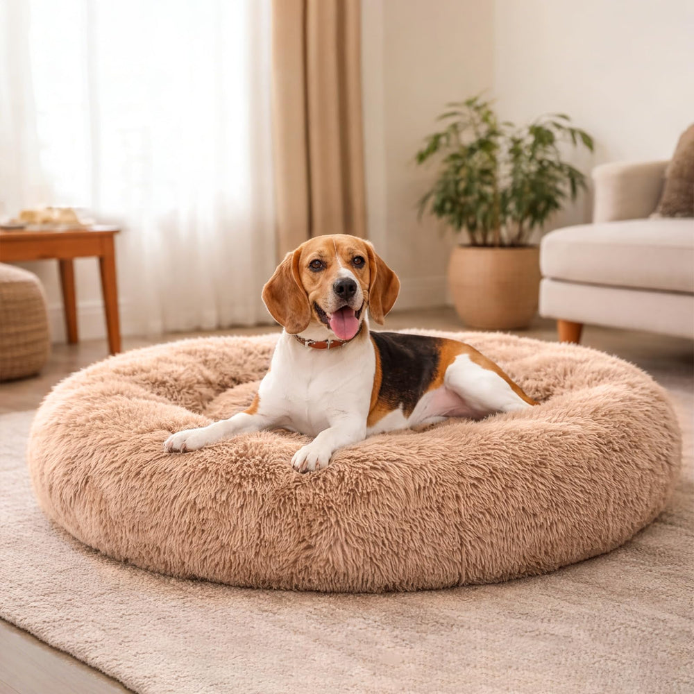 FITION lit rond douillet pour chien et chat — repos confortable et sûr