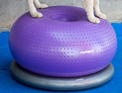 Fixation au sol du FitPAWS Donut Holder pour un placement simple