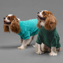 Pull polaire Fitwarm col roulé petit chien, enfilage facile et confort.