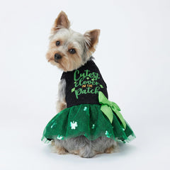 Tutu Fitwarm pour chien avec sequins vert émeraude, parfait pour les occasions festives.