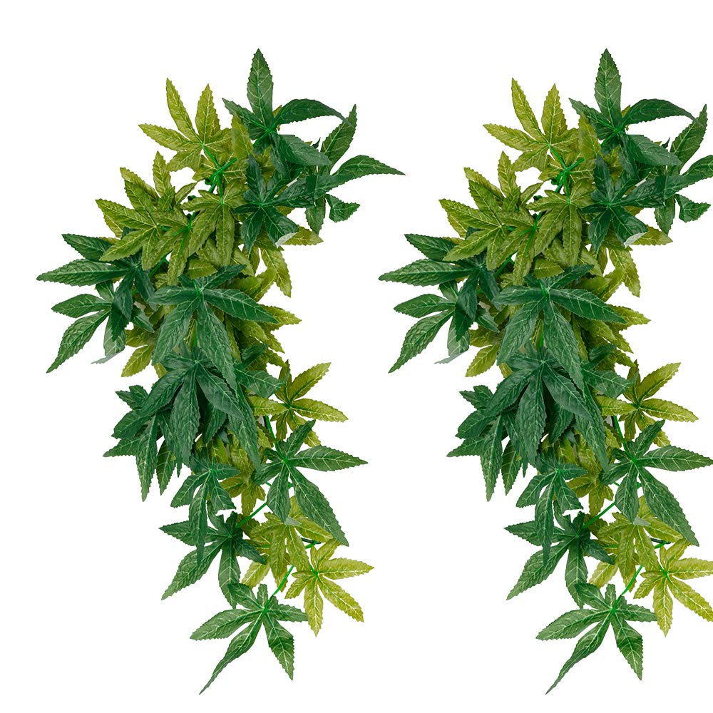 FiveBull plantes en soie reptile décor terrarium, fixation facile sur vitre.