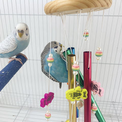 FlidRunest cordage coton et boules chantantes, facile a suspendre dans la cage.