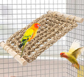FlidRunest perche-échelle Conure en seagrass, exercice en cage