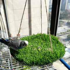 FlidRunest tapis-forage-oiseaux-herbe-naturelle: stimule l’exploration et l’alimentation ludique.