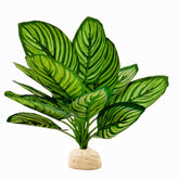 FLmoving plante artificielle Calathea Makoyana, vue d ensemble pour terrarium, aspect naturel.