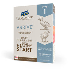 FlockLeader Arrive, bouteille de 8 oz, soutien potentiel au microbiome des poussins.