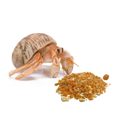Florida Marine Research Parfum agréable fruits pour crabe hermite, favorise l'appétit