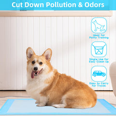 FluffyDream tapis d'apprentissage 5 couches offre absorption rapide
