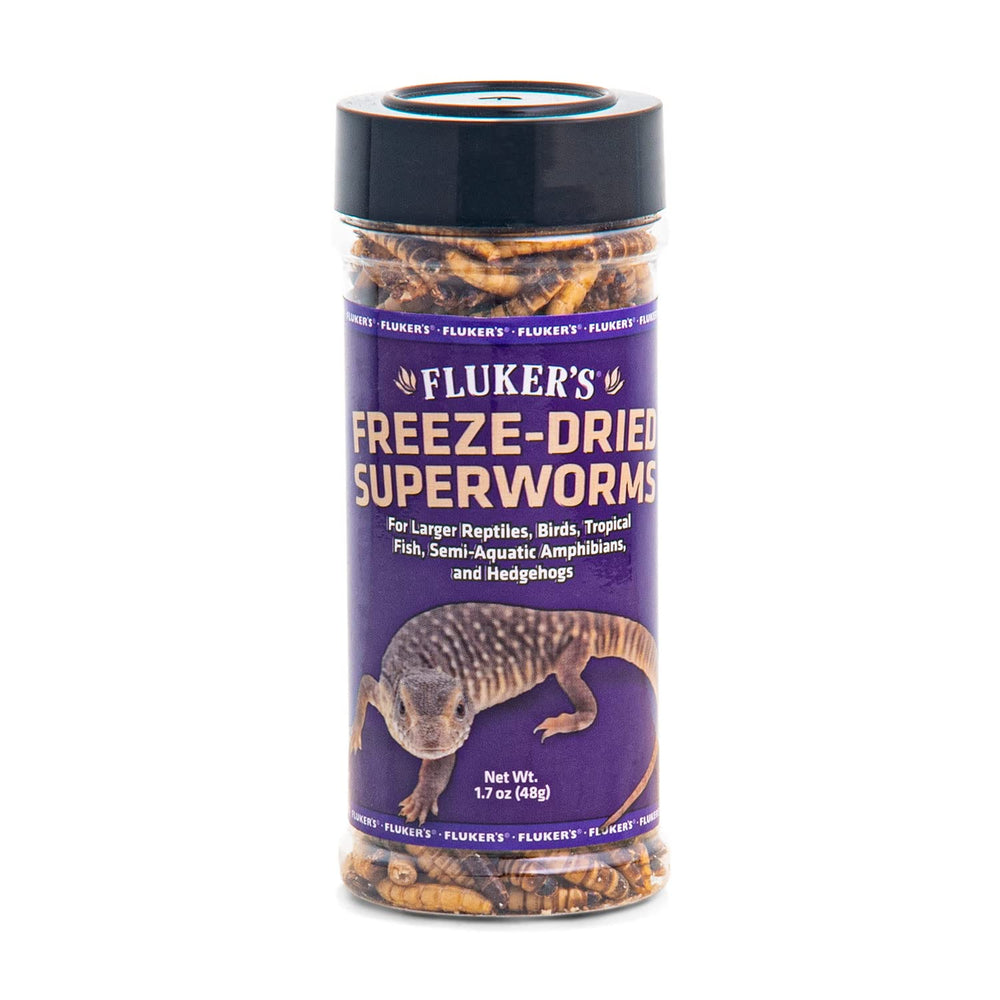 Fluker's lyophilisés superworms dans le bocal – alimentation protéique pour reptiles.