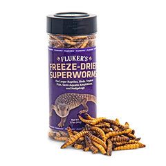 Fluker's lyophilisés superworms texture légère – manipulation simple et rapide.