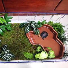 Flushbay bol eau-nourriture: pratique pour nourrir et hydrater votre reptile.