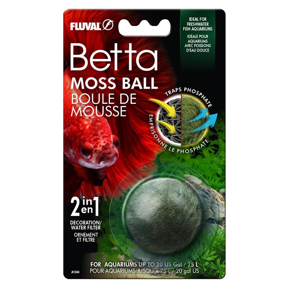 Fluval Betta boule de mousse : décor vivant et réduction potentielle des phosphates.