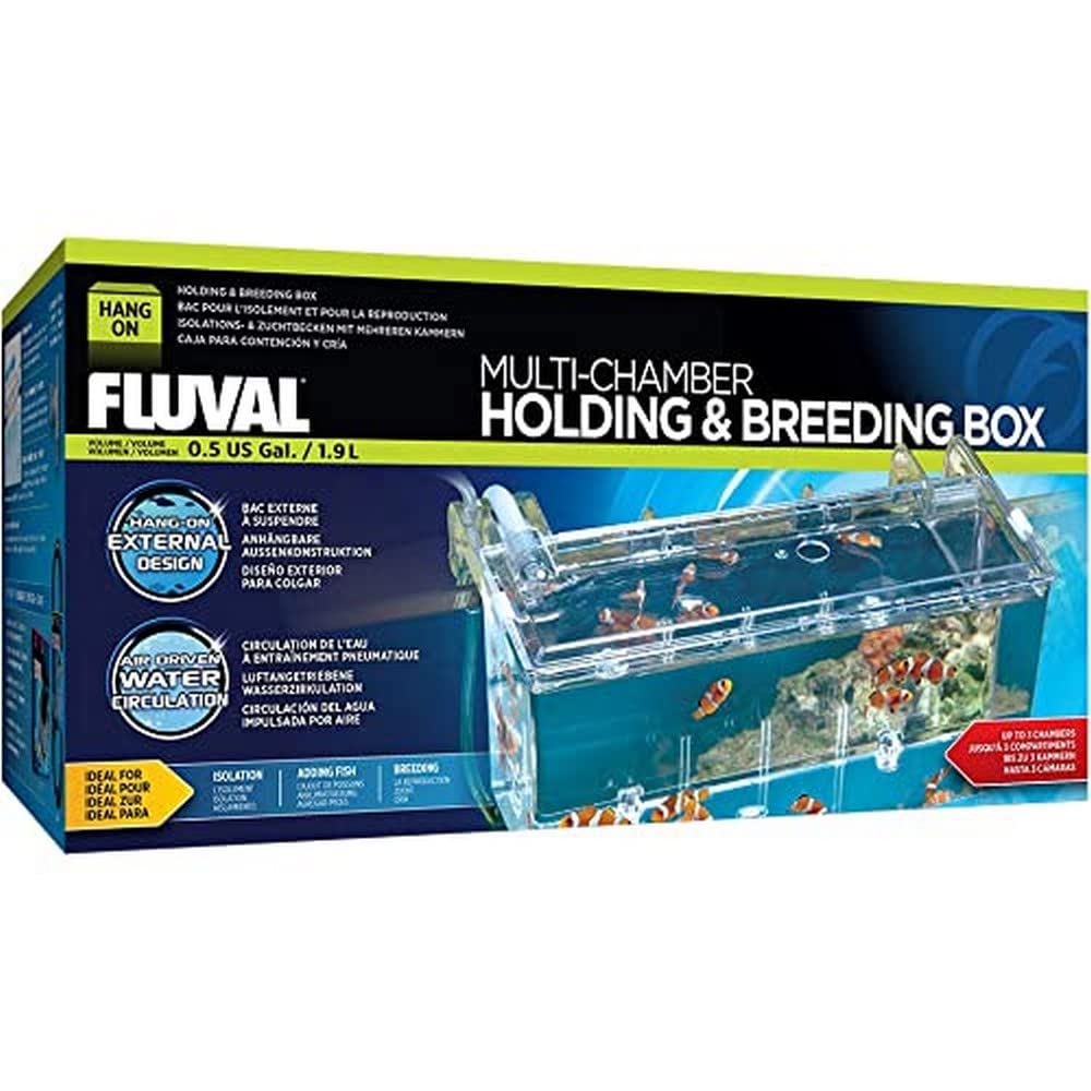 Fluval boîte multi-chambres attachée au côté de l’aquarium pour observation facile.