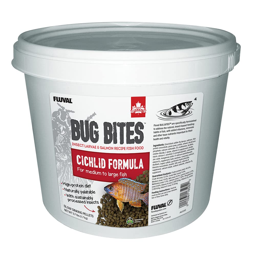 Granulés Fluval Bug Bites pour cichlidés moyens et grands, soutien à la croissance