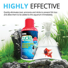 Fluval Cycle – demonstration des micro-organismes benefiques en milieu aquatique