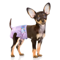 Couches Flying Paws pour chien femelle XS-40: confort et protection au quotidien
