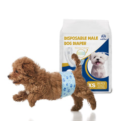 Flying Paws couches-male-indicateur-humidite, suivez facilement l'humidite