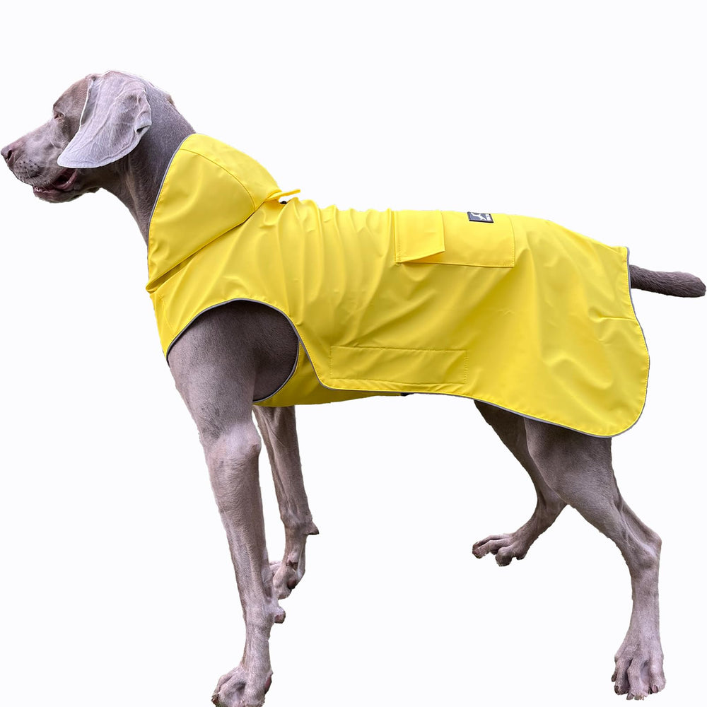 Manteau Flying Tail pour chien avec capuche réfléchissante pour meilleure visibilité lors des promenades nocturnes.