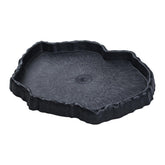 Flylin assiette eau reptile imitation roche, hydratation naturelle.