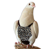 Flyper couche aviaire ajustable regular offrant un ajustement confortable pour petits oiseaux.