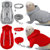 Foaincore furet pull gris, douceur pour promenades quotidiennes.