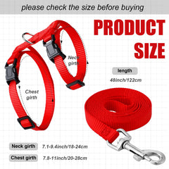 Foaincore harnais et laisse furet 122 cm, longueur ajustable.