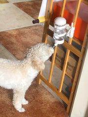 FOBLOEER bec en inox, durable et sûr pour chiens et chats