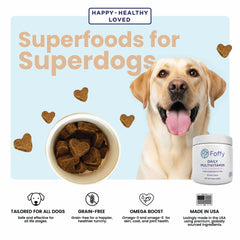 foffy probiotiques et super-aliments, soutien digestion et immunité