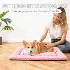 Fogkiss Tapis Chien Nettoyage Machine Facile : entretien rapide et pratique.