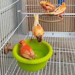 FOIBURELY accessoire-bain polyvalent pour propreté et confort des oiseaux.