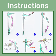 FOIBURELY: anneaux colorés d'identification pour oiseaux, identification rapide.