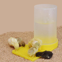 FOIBURELY abreuvoir-eau-bebe-oiseau-jaune-bouton : taille compacte pour petits oiseaux et espaces