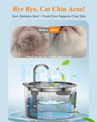 FOOPOMARY filtration 4 étapes pour eau plus limpide.
