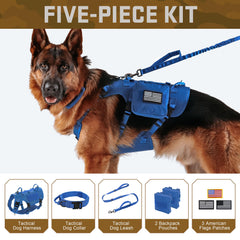 Sac MOLLE Forestpaw inclus, rangement pratique pour friandises et outillage lors des sorties.