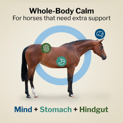 Formule 707 Support Pro — boîte 28 doses, soutien digestif quotidien pour cheval.
