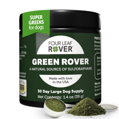 Four Leaf Rover Poudre Verte, bouteille-poudre verte, soutient les défenses naturelles.