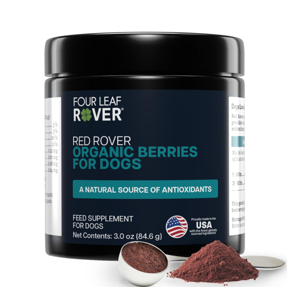 Four Leaf Rover Red Rover – bouteille prête au versement, pratique pour chien.