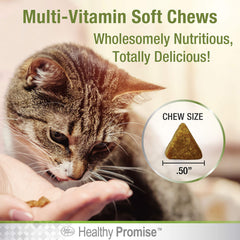 Four Paws Healthy Promise chat, magnésium-fer-zinc, apport nutritionnel varié.