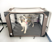 Foxtoes cage ICU coussin confort et housse amovible.