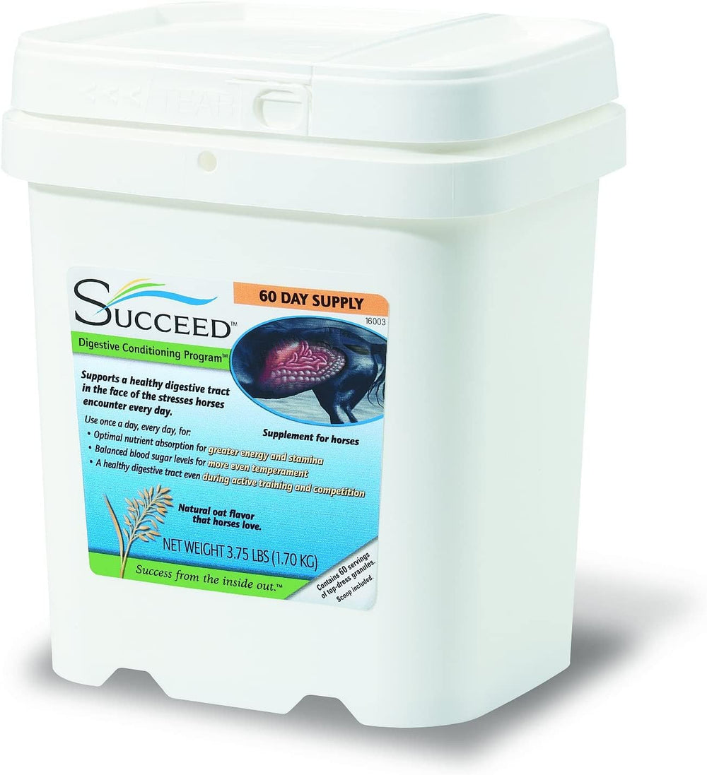 Succeed granules de Freedom Health dans un seau; soutien digestif pour chevaux performants.