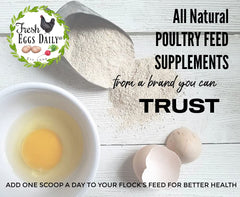 Fresh Eggs Daily doseur-mesure poudre: dosage pratique pour nourrir canetons et poules.