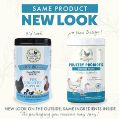 Fresh Eggs Daily Probiotiques – poudre: mélange facile pour alimentation quotidienne