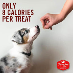 Friandises pour chien au boeuf Chicken Soup for the Soul, texture croustillante et naturelle.