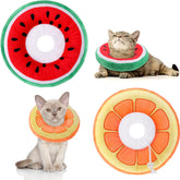 Frienda collier-cone chat orange pour limiter le léchage et favoriser le confort.