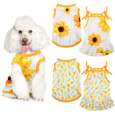 Frienda robe chien ananas: look estival et confortable pour les balades