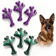 Frienhund ensemble lot 6 XL Cactus pour chiens actifs et mordilleurs