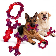 Frienhund os-mordeur nylon indestructible: compagnon durable pour mâcheurs puissants.